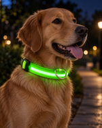 LED Pet Safety Collar