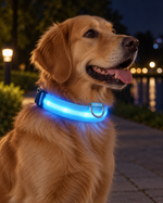 LED Pet Safety Collar
